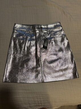 Express Mini Skirt, Womans Size 2 *NEW*